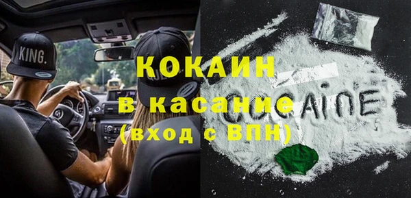 ПСИЛОЦИБИНОВЫЕ ГРИБЫ Волосово