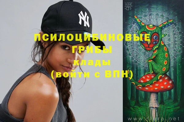 ПСИЛОЦИБИНОВЫЕ ГРИБЫ Волосово