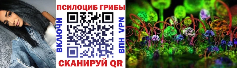 Галлюциногенные грибы Cubensis  хочу   hydra маркетплейс  Новомосковск 